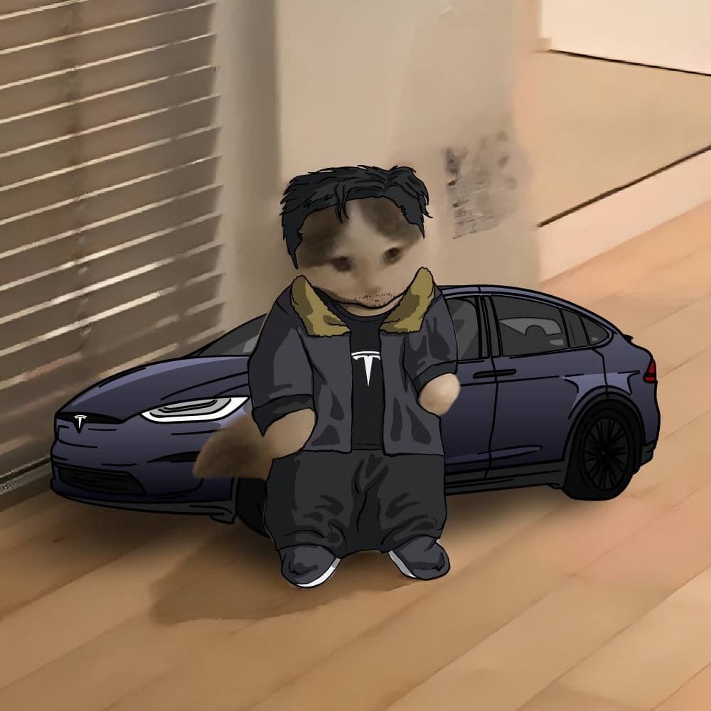 elon musk tesla model s