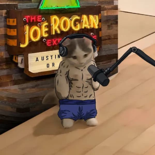 celeb joe rogan