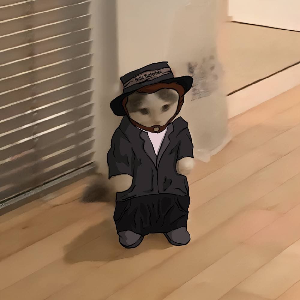 celeb justin timberlake