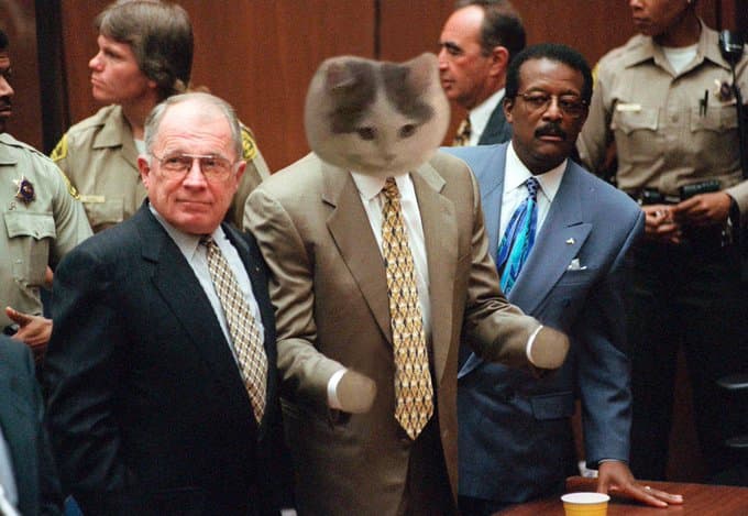 celeb oj simpson court