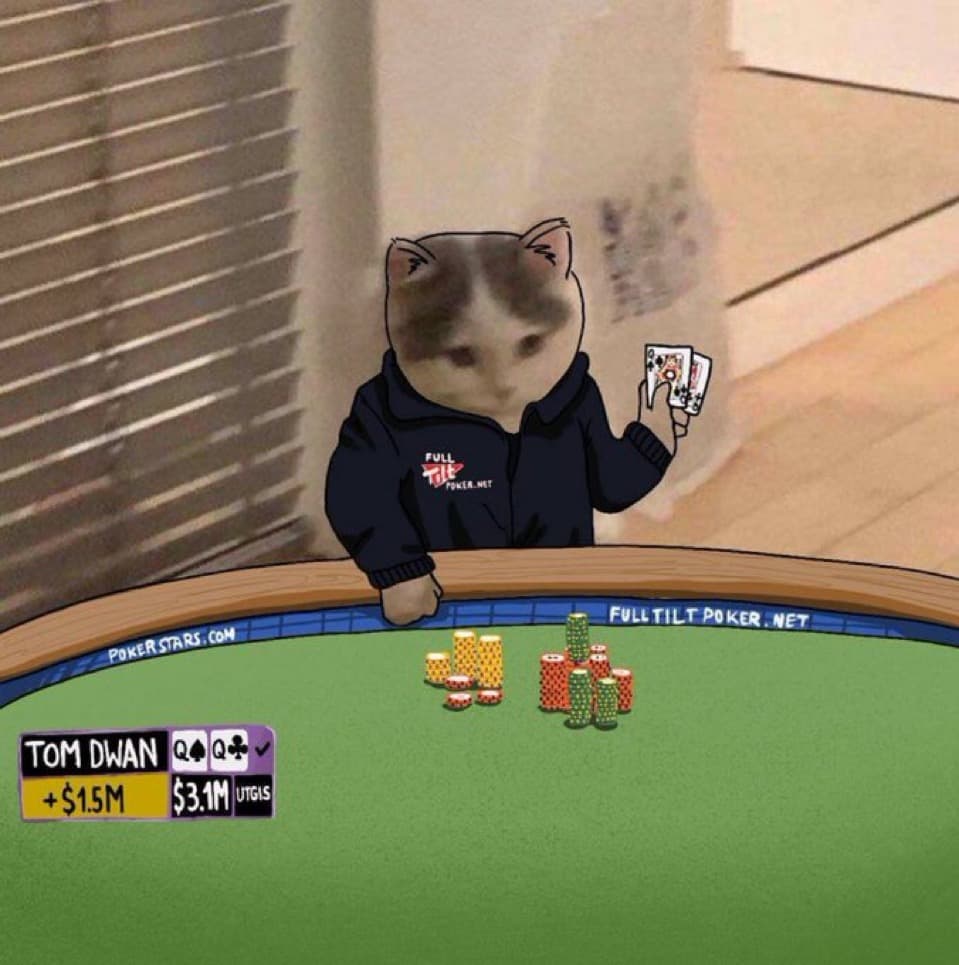 celeb poker tom dwan all in gamble bet