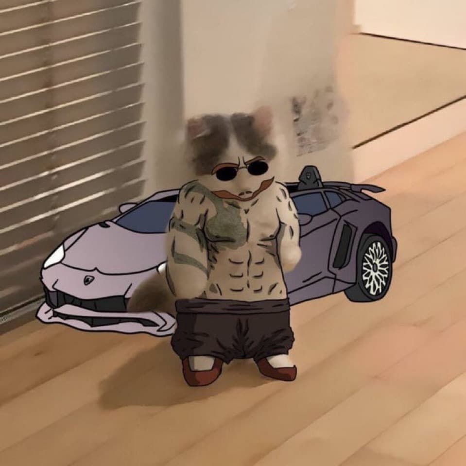 celeb andrew tate lambo