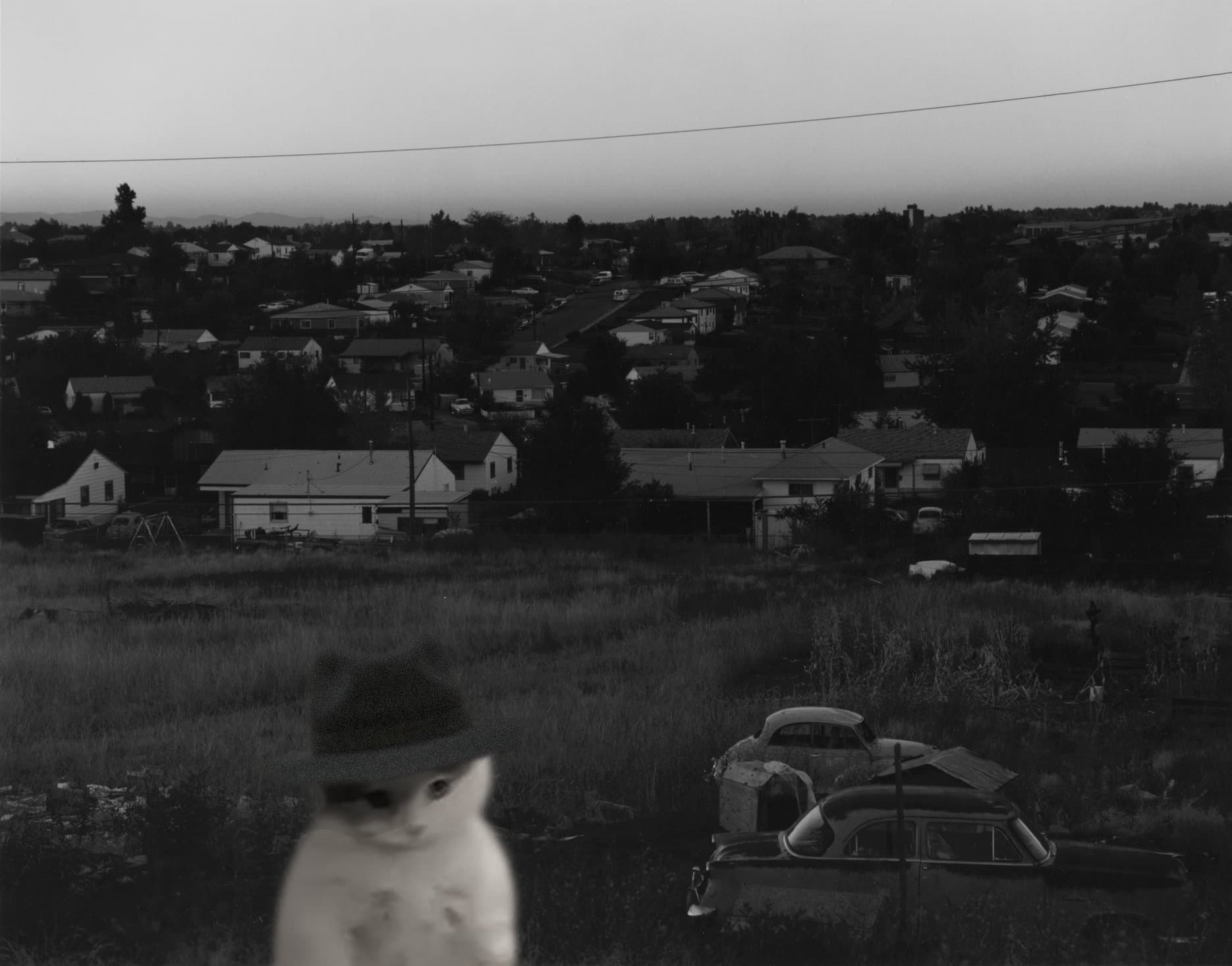 destination suburbs chill