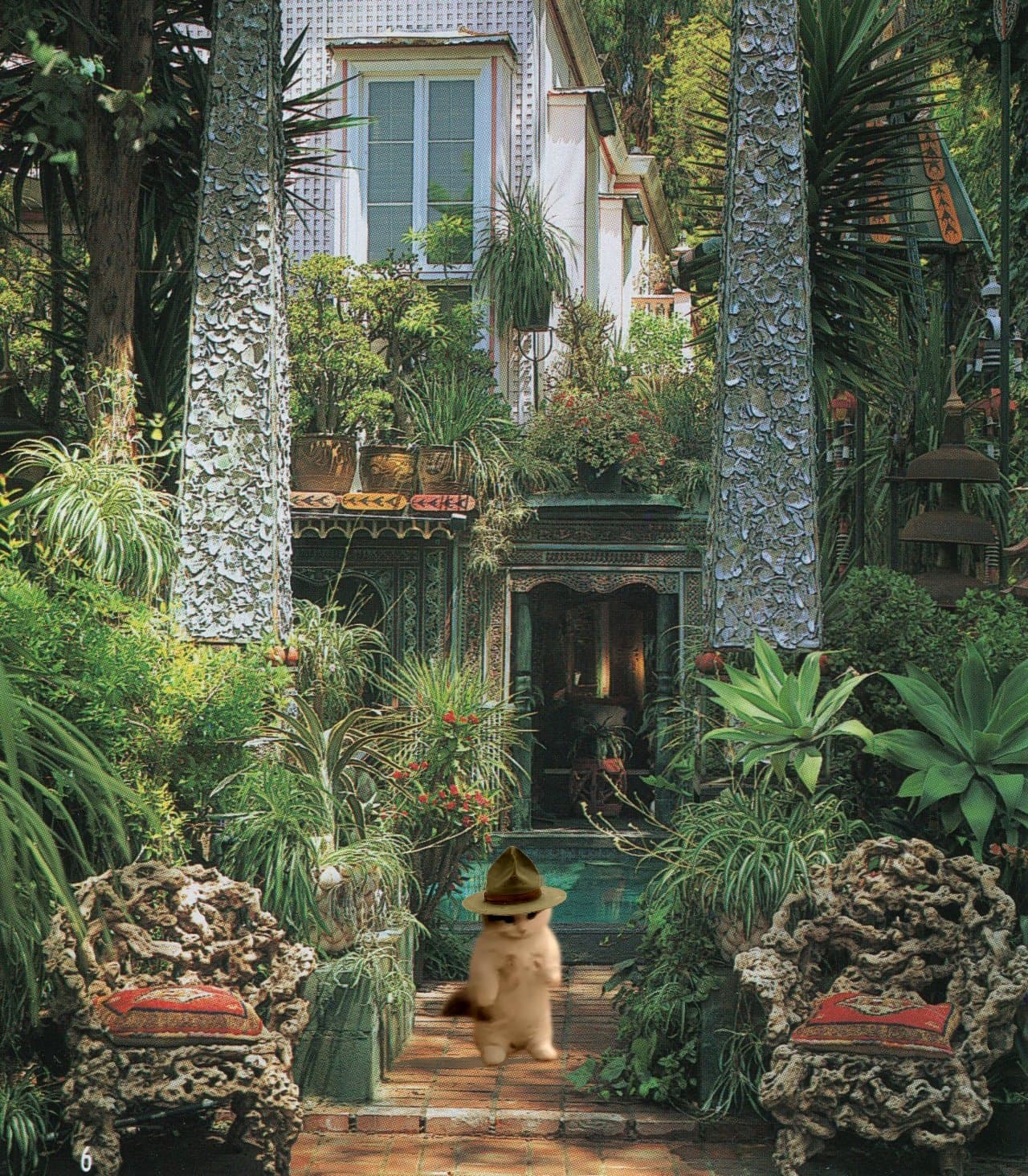 destination greenery plants trees outdoors