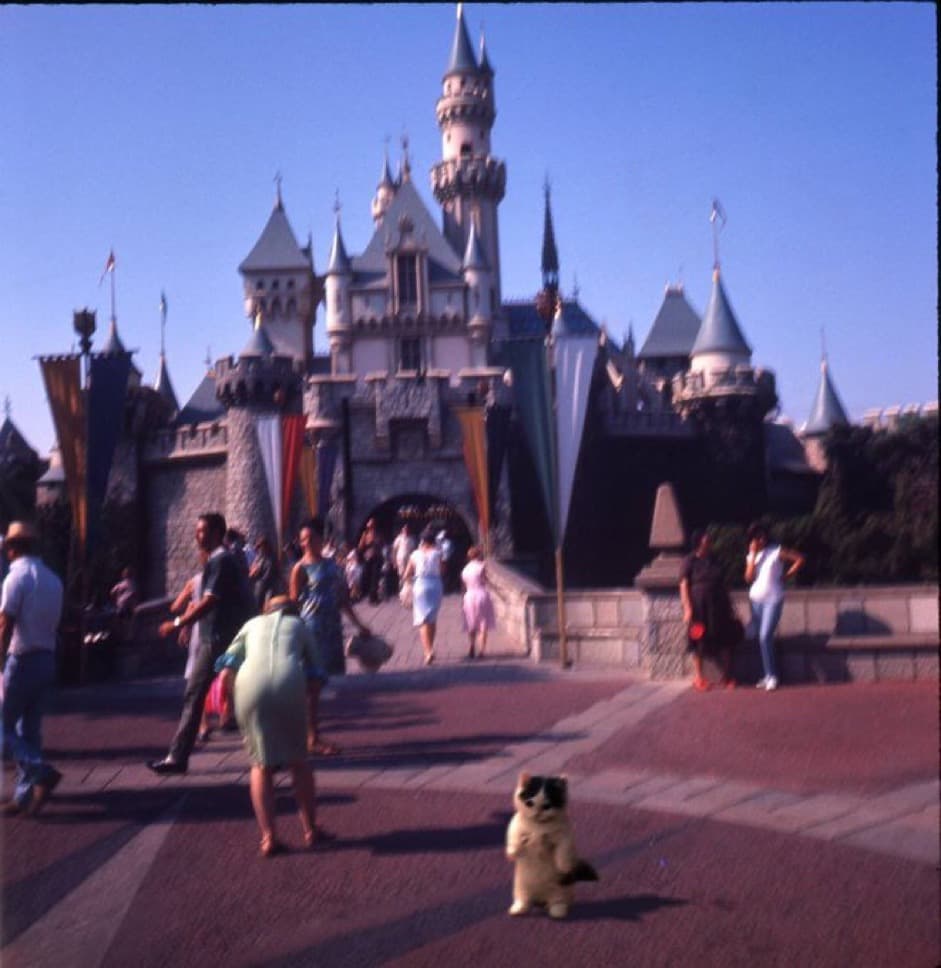 destination disneyland castle