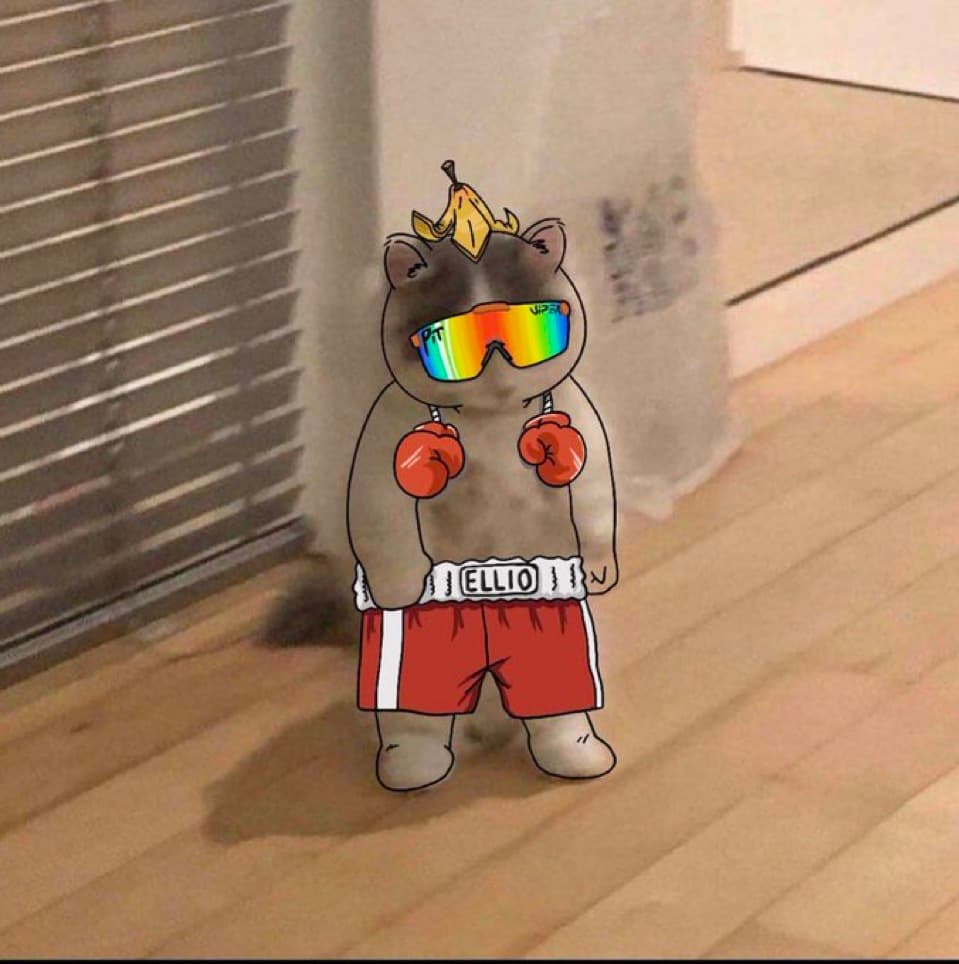 elliotrades kol influencer