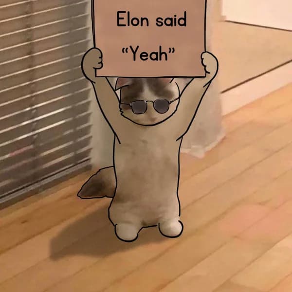 elonsaidyeah sign