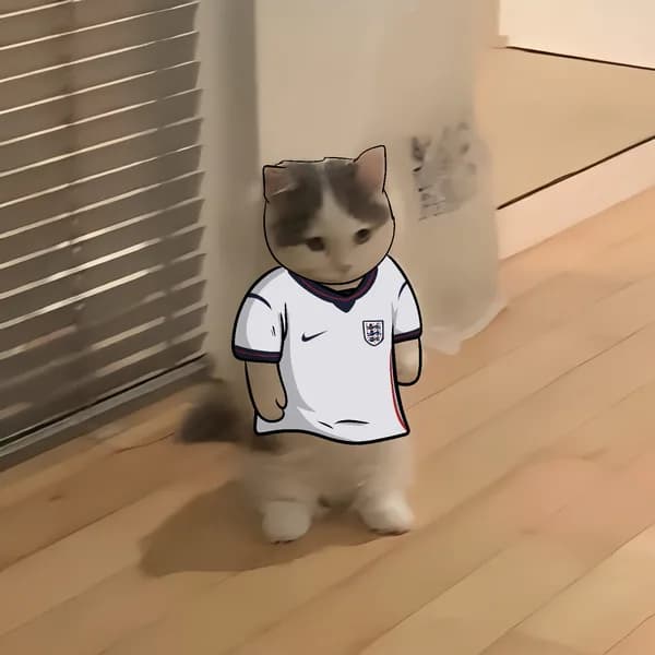 Three Lions Michi