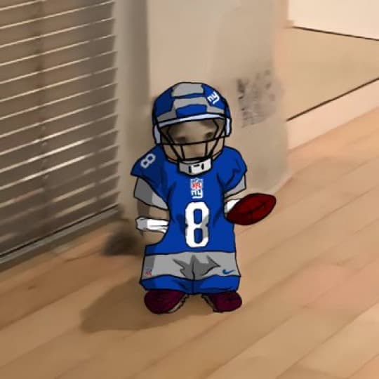 nfl football ny giants