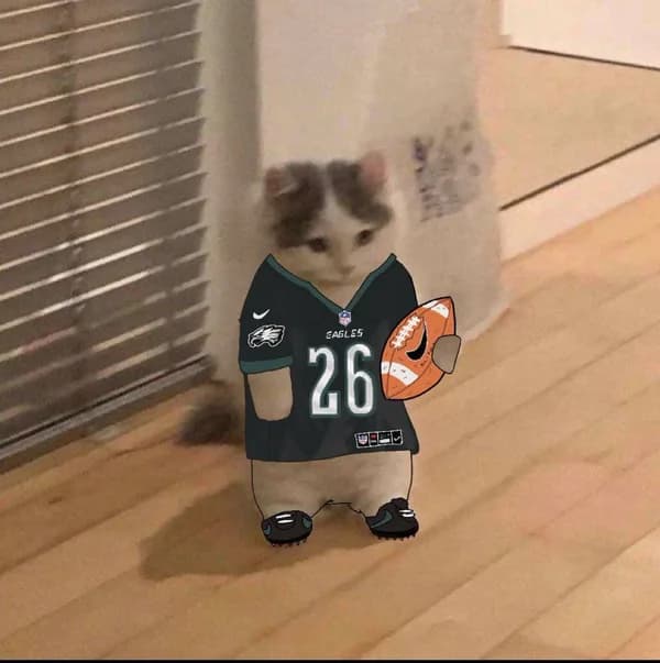 nfl football philadelphia eagles