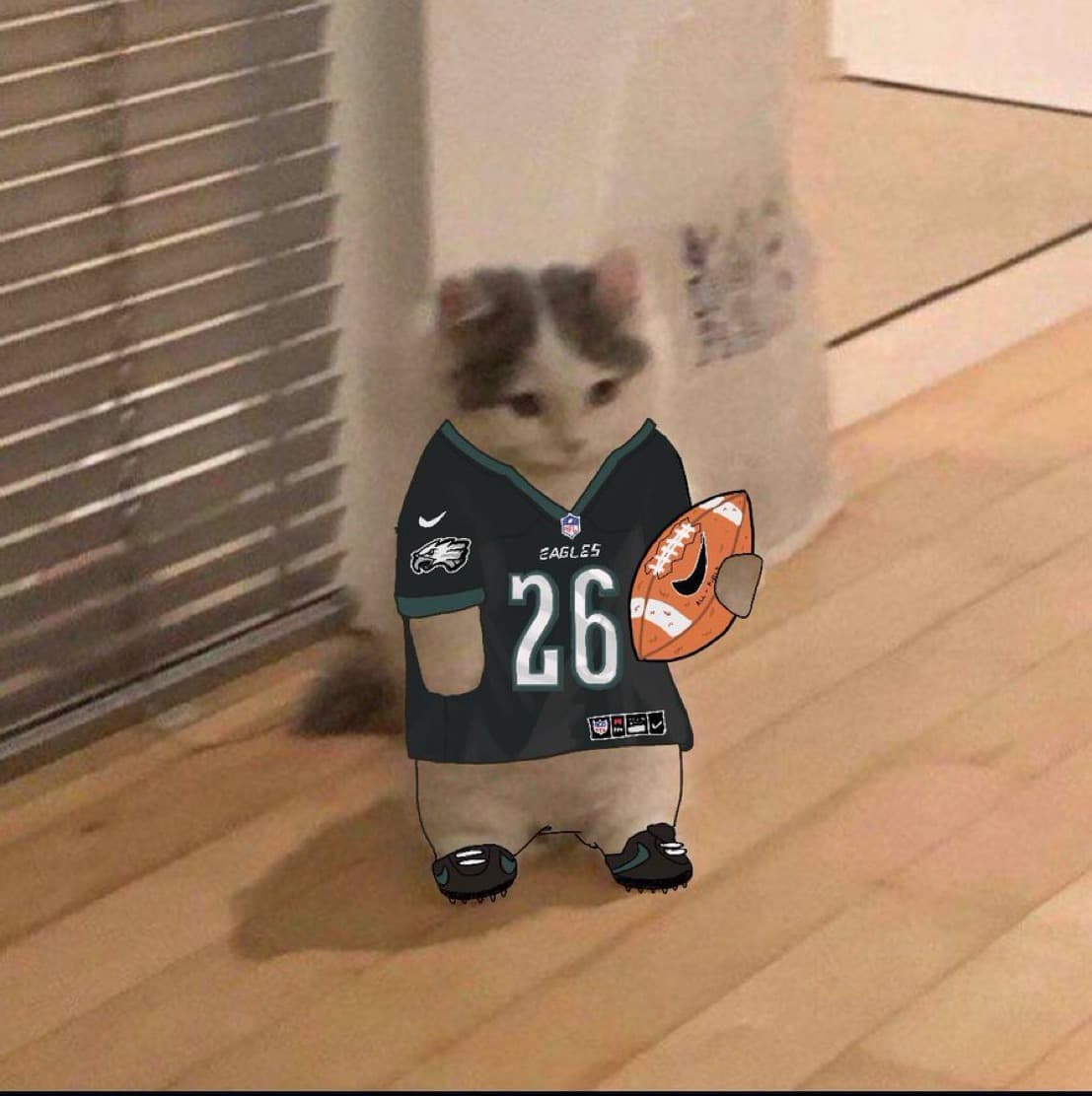 nfl football philadelphia eagles