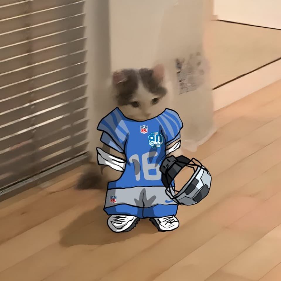 nfl football detroit lions