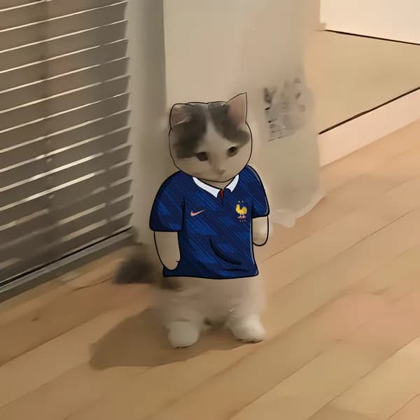 Les Bleus Michi