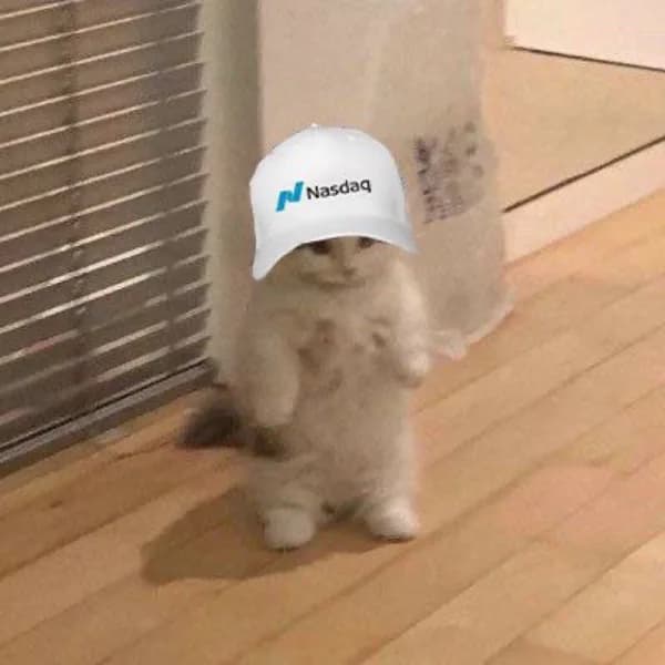freeelectron hat kol influencer