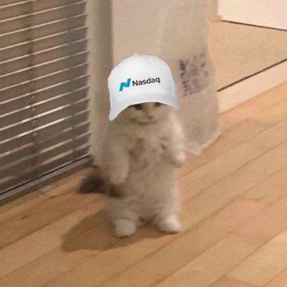 freeelectron hat kol influencer