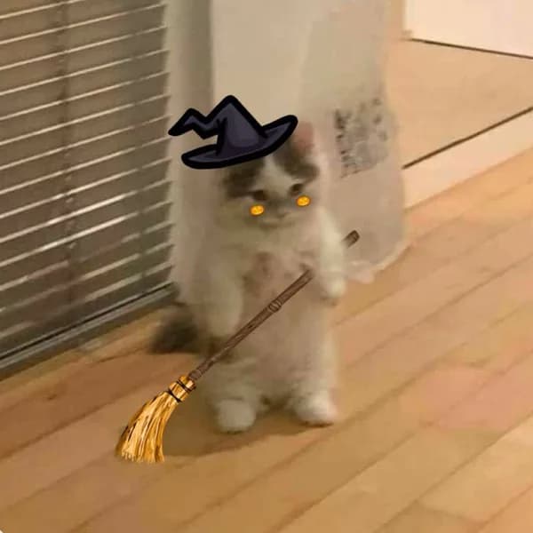witch hat broom