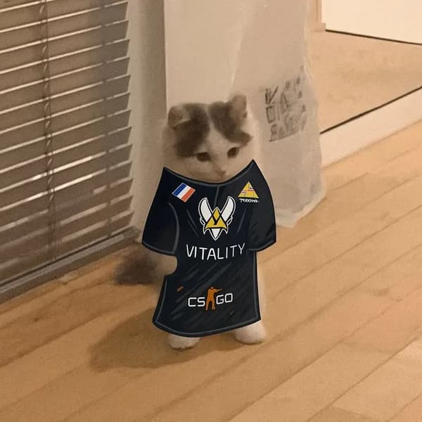 vitality csgo games
