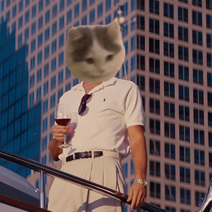 sunglasses wine drink