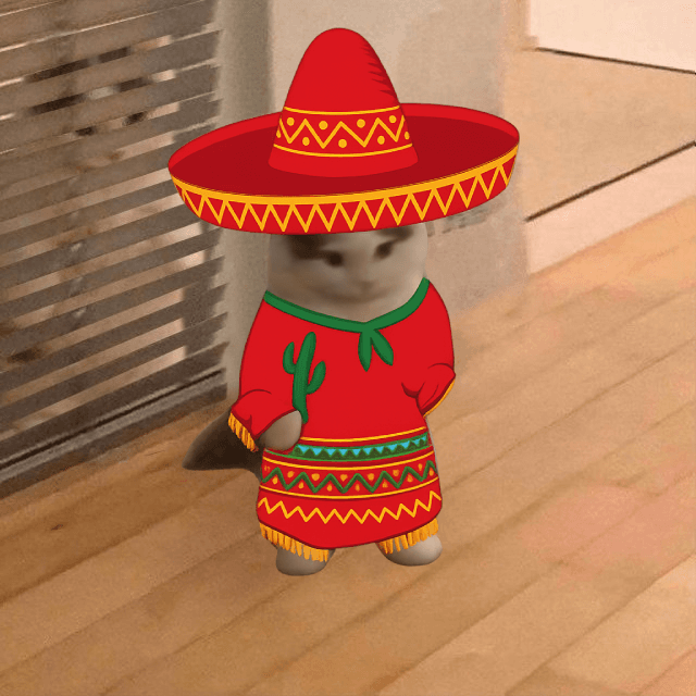 sombaro mexican hat