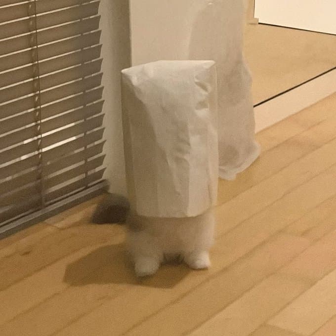 paperbag