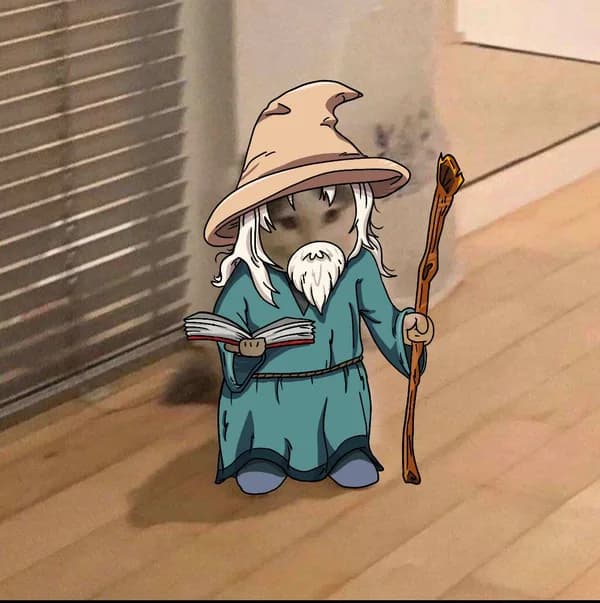 wizard