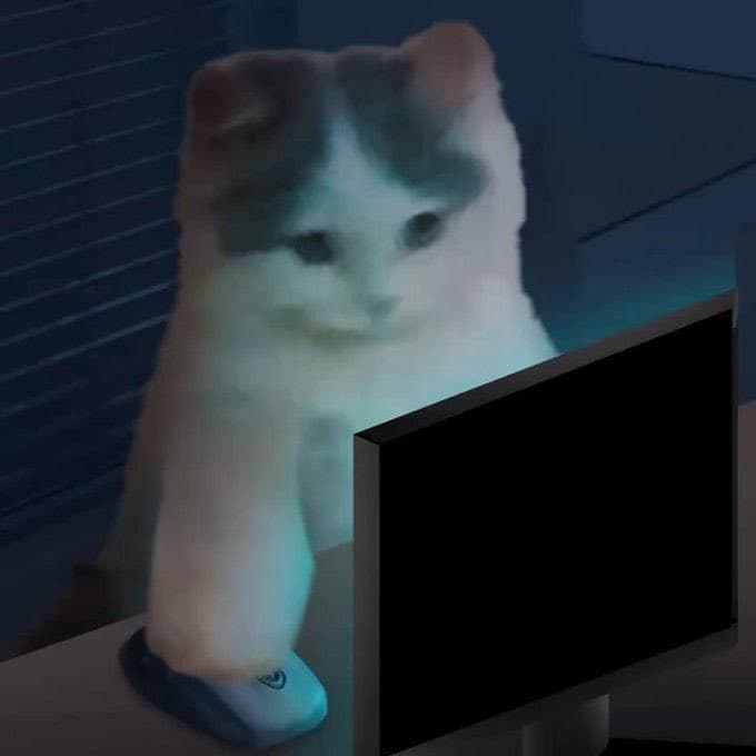 pc room basement gnichi computer screen