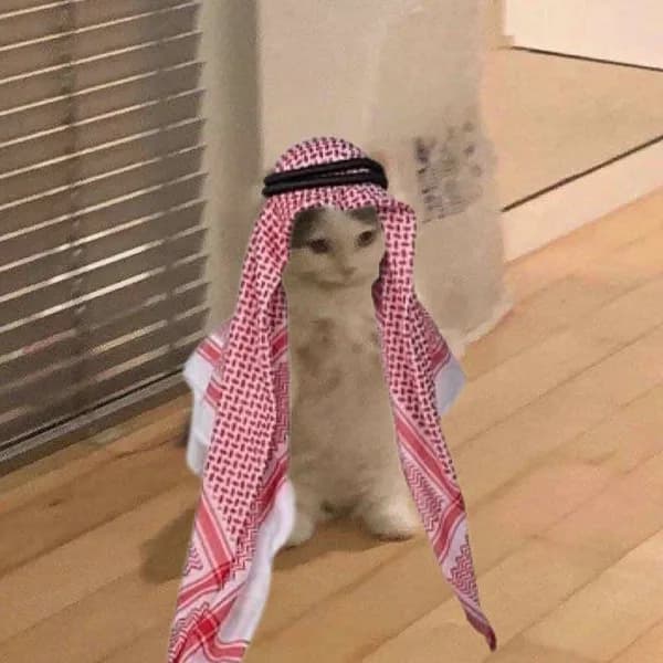 habibi middle east arab saudi