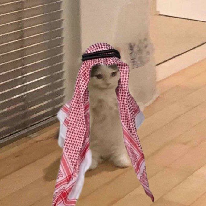 habibi middle east arab saudi