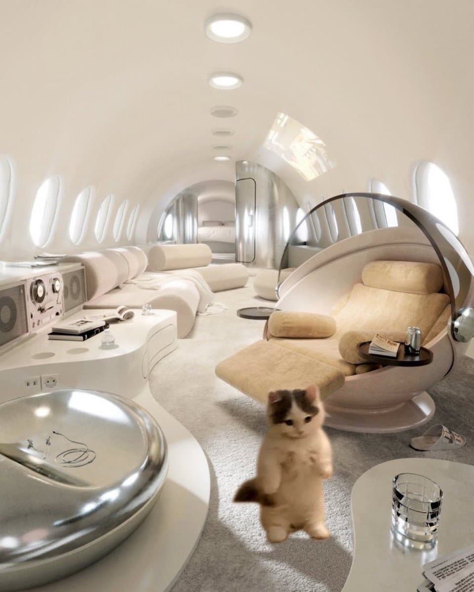 flight airplane private fancy luxury