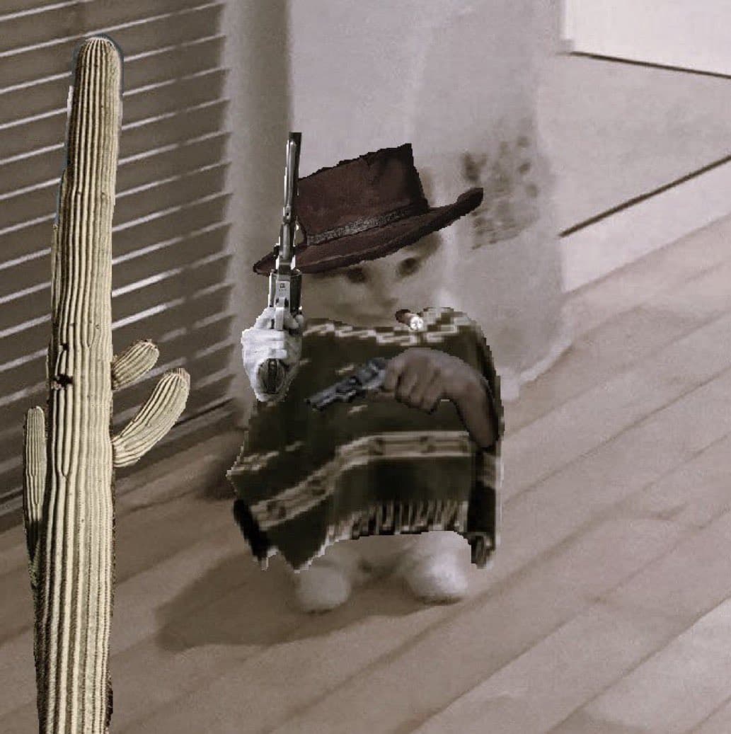 western clint eastwood cowboy