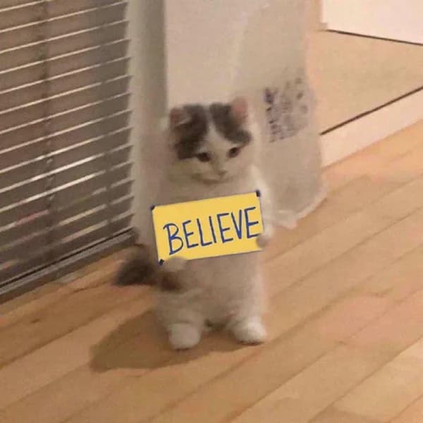 believe