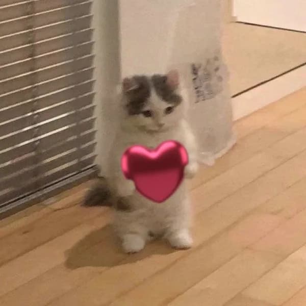 love heart cute