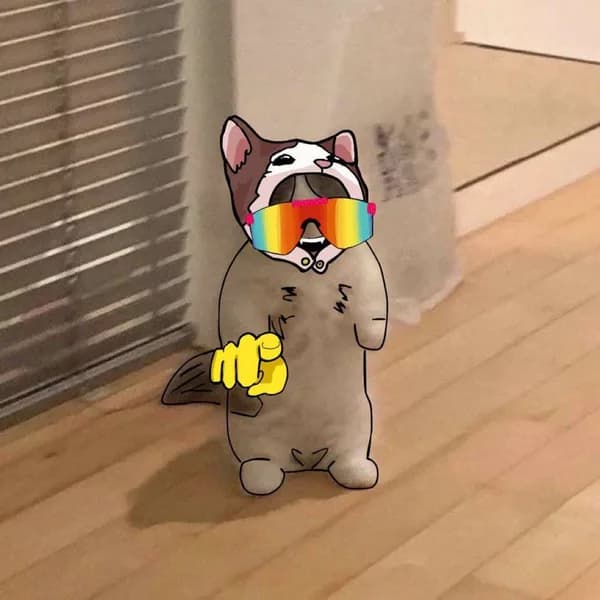 popcat mog