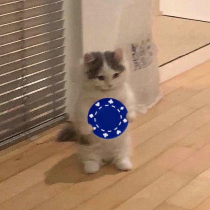 poker blue chip gamble