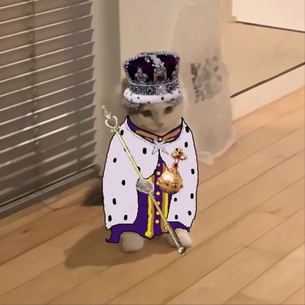 king