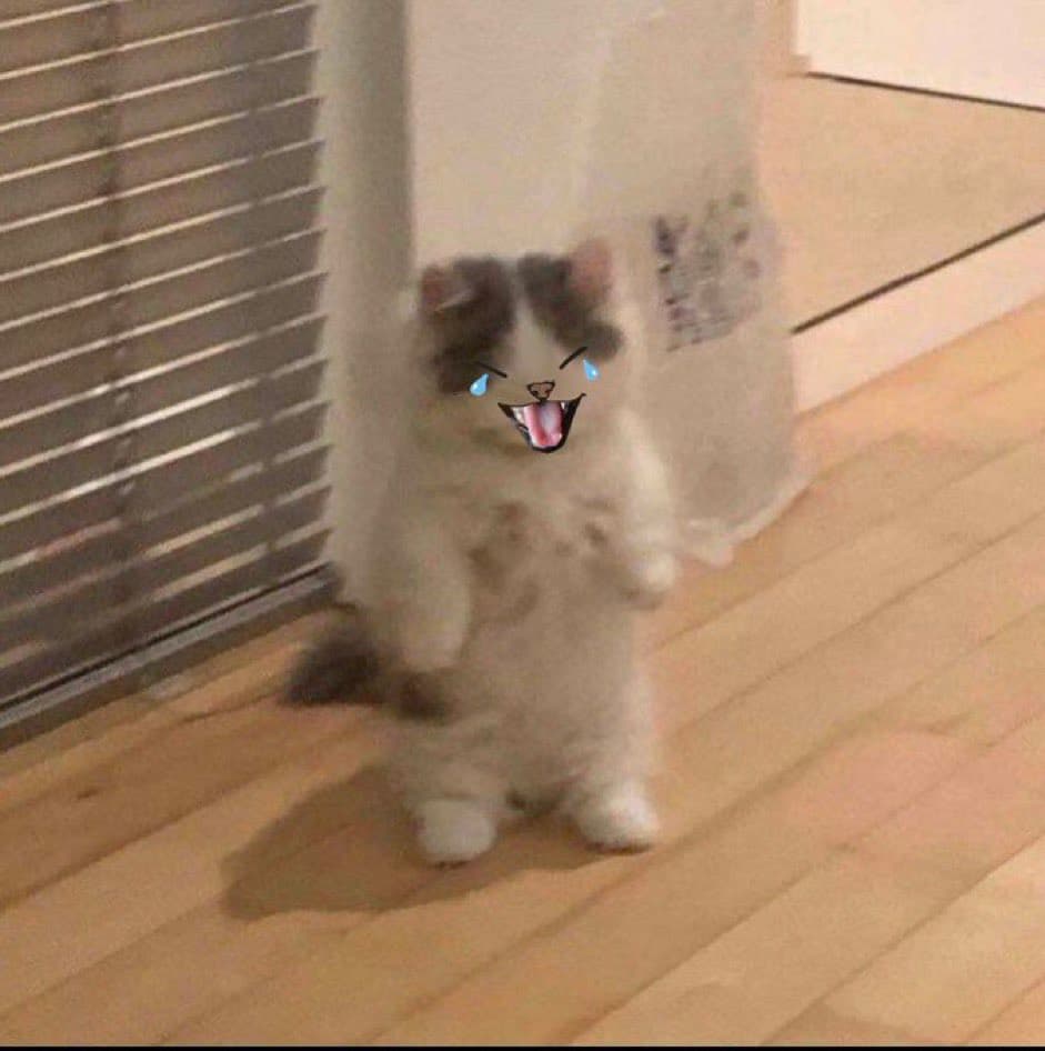 funny laugh lol smile