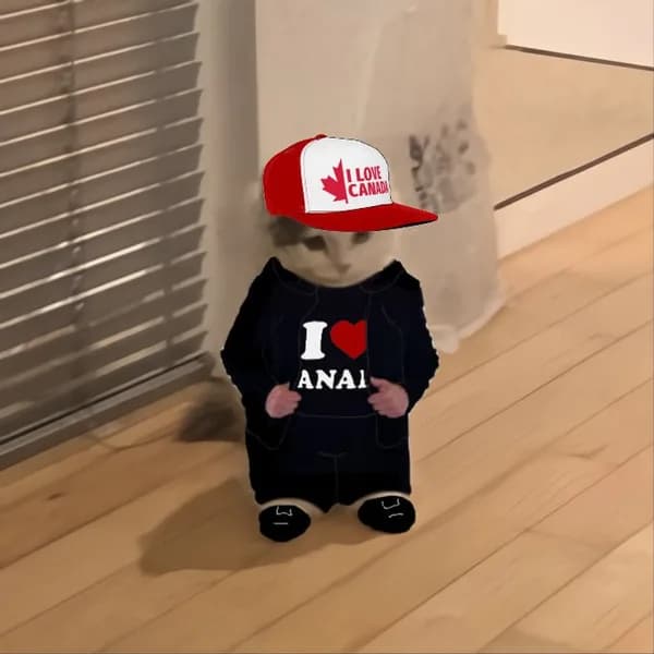canada anal elon musk