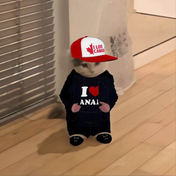 canada anal elon musk