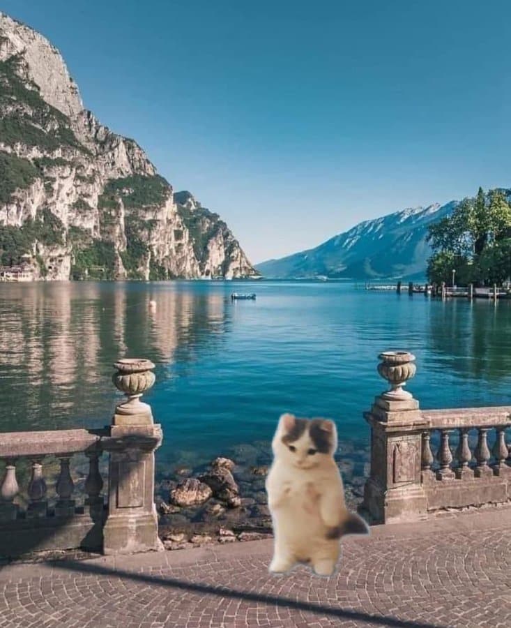 scenic ocean lake outdoors sunny