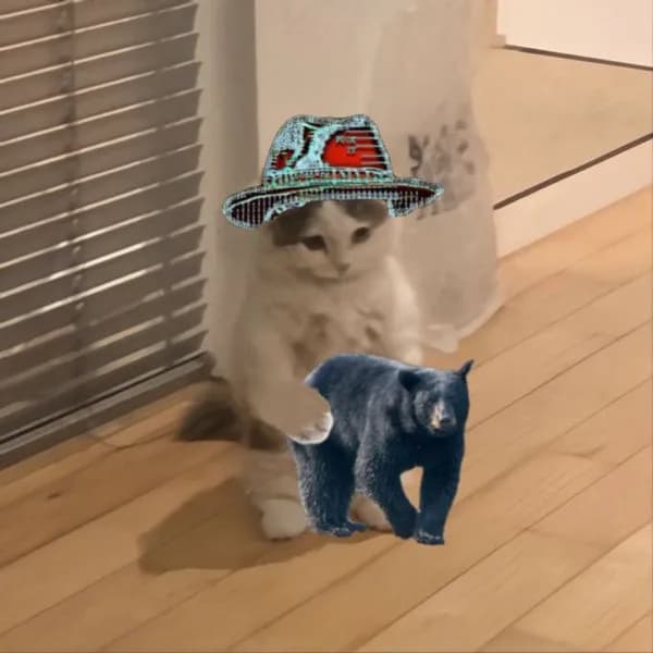 bear fuck funny