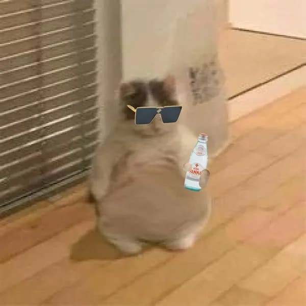 fat chubby popcorn sunglasses