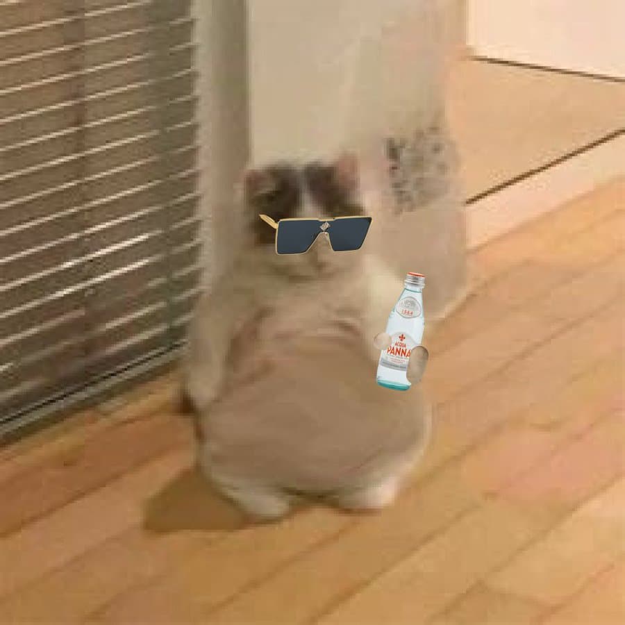 fat chubby popcorn sunglasses