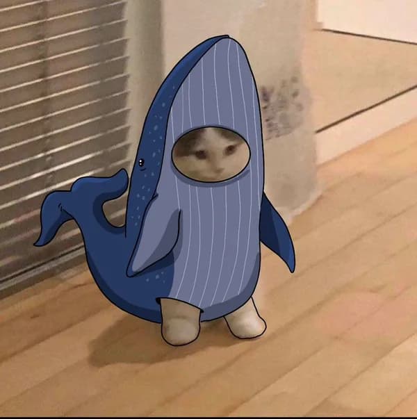 whale