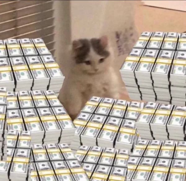 cash money rich
