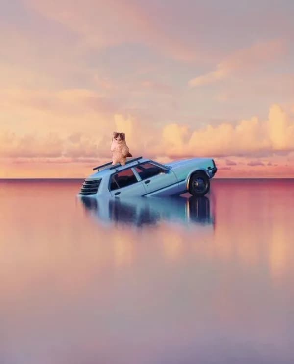 car ocean water river