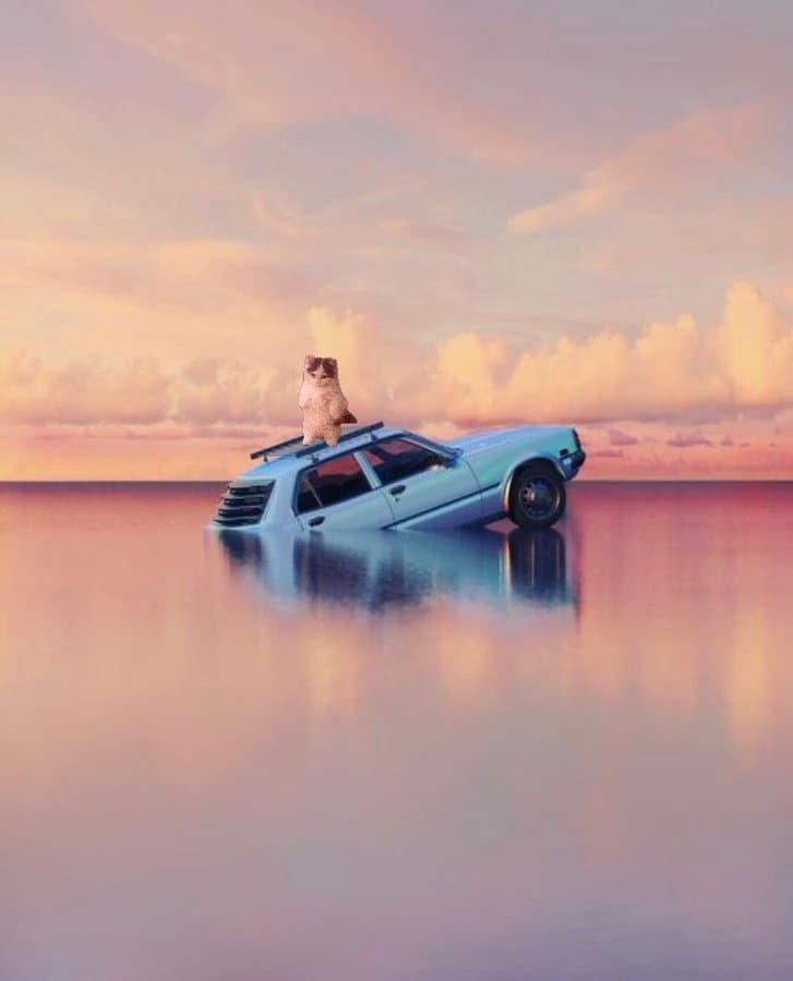 car ocean water river