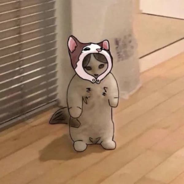 popcat pop