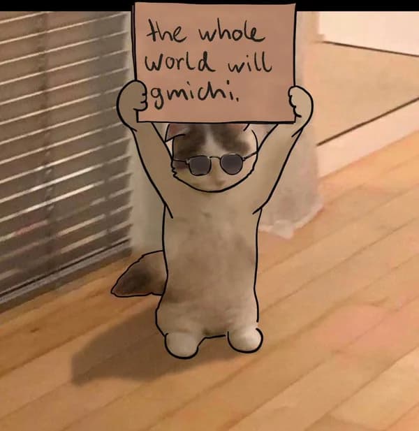 the whole world will gmichi sign