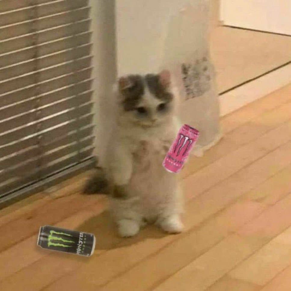 tired monster energy drink