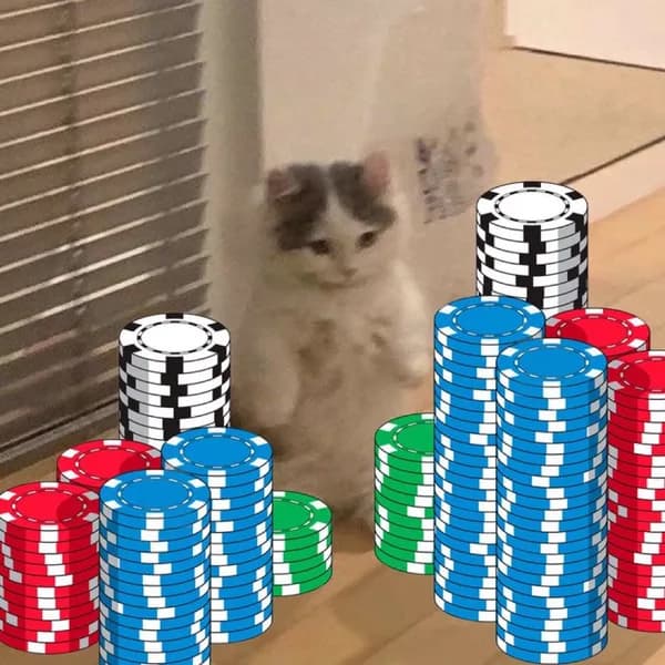 gamble poker chips money